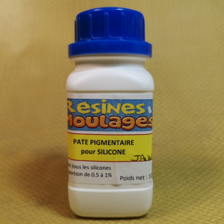 PATE PIGMENTAIRE POUR SILICONES 100 GR