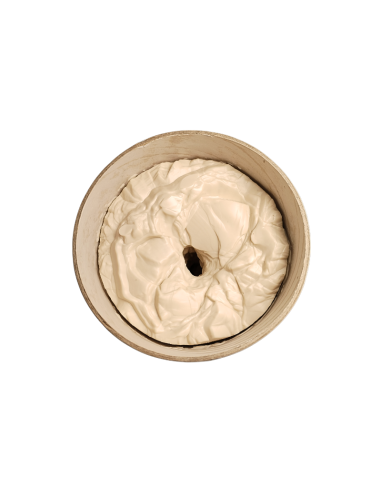 Plastiline - Pâte à modeler