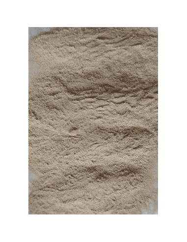 Poudre de Bronze Véritable pour Moulage & Tirage Résine