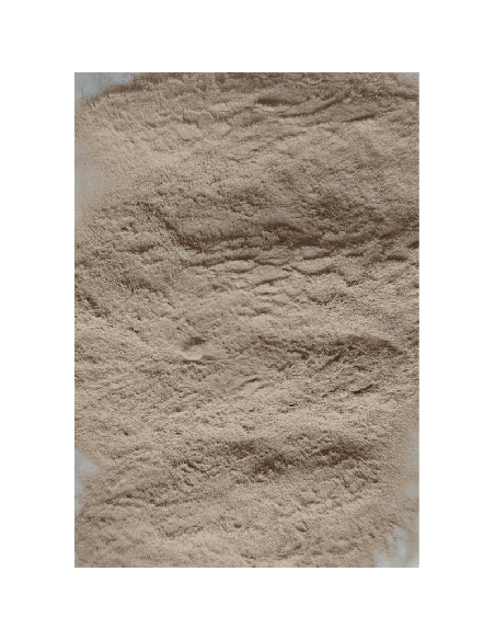 Poudre de Bronze Véritable pour Moulage & Tirage Résine